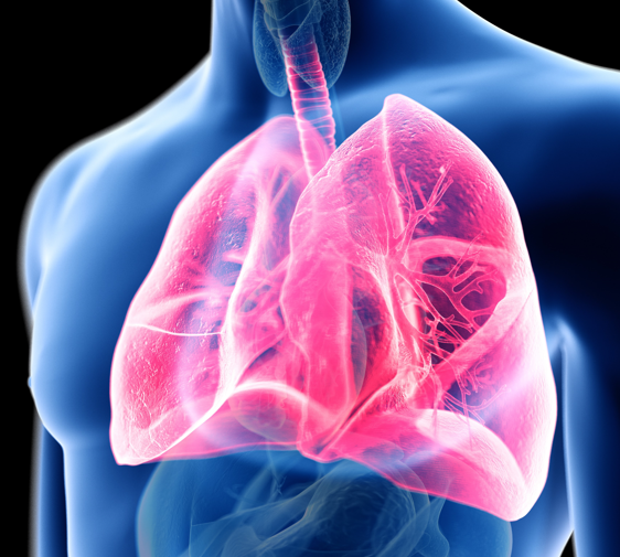 # I Can't Breathe: The Symbolic Meaning of Lungs | The Ommani Center